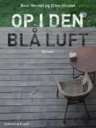 Op i den blå luft af Bent Hendel og Ellen Hendel