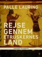 Rejse gennem etruskernes land af Palle Lauring