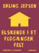 Elskende i et fodgængerfelt af Erling Jepsen