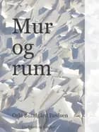 Mur og rum af Orla Bundgård Povlsen