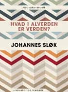 Hvad i alverden er verden? af Johannes Sløk
