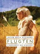 Flugten af Jacob Bech Nygaard
