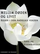 Mellem døden og livet af Tove Kofoed og Steen Kofoed