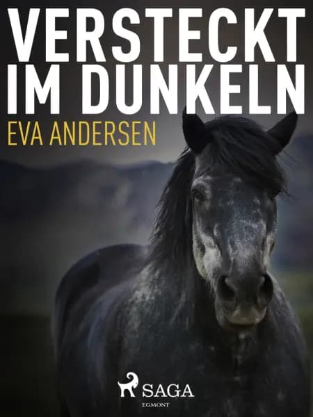 Versteckt im Dunkeln af Eva Andersen