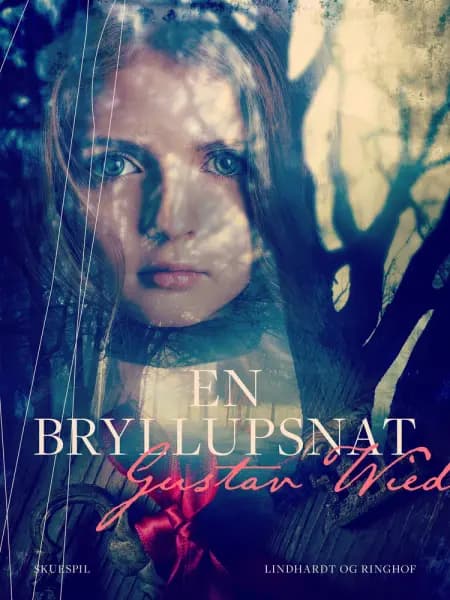 En bryllupsnat af Gustav Wied