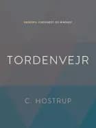 Tordenvejr af C. Hostrup
