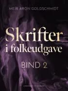 Skrifter i folkeudgave (bind 2) af Meïr Aron Goldschmidt