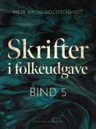Skrifter i folkeudgave (bind 5) af Meïr Aron Goldschmidt