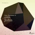 The New Testament 4 - John af Christopher Glyn