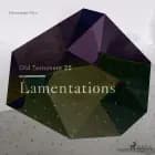 The Old Testament 25 - Lamentations af Christopher Glyn