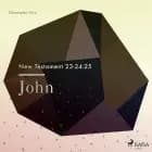 The New Testament 23-24-25 - John af Christopher Glyn