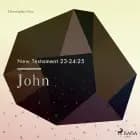 The New Testament 23-24-25 - John af Christopher Glyn