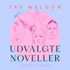 Udvalgte noveller af Fay Weldon
