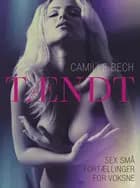 TÆNDT - Sex små fortællinger for voksne af Camille Bech