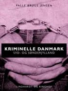 Kriminelle Danmark. Syd & Sønderjylland af Palle Bruus Jensen