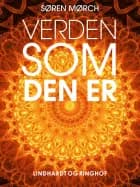 Verden som den er - fem historier om, hvordan det gik til, at verden blev moderne af Søren Mørch