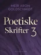 Poetiske skrifter 3 af Meïr Aron Goldschmidt