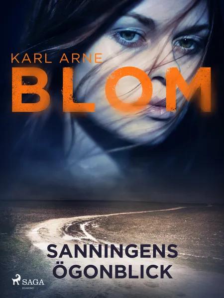 Sanningens ögonblick af Karl Arne Blom