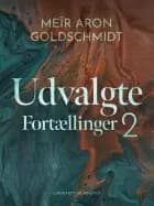 Udvalgte fortællinger 2 af Meïr Aron Goldschmidt