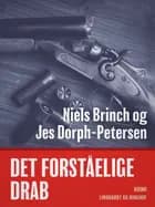 Det forståelige drab af Niels Brinch og Jes Dorph Petersen
