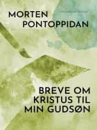Breve om Kristus til min gudsøn af Morten Pontoppidan