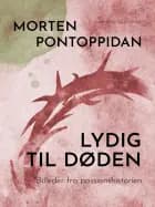 Lydig til døden: Billeder fra passionshistorien af Morten Pontoppidan