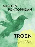 Troen: En vejledning til evangelisk erkendelse af Morten Pontoppidan