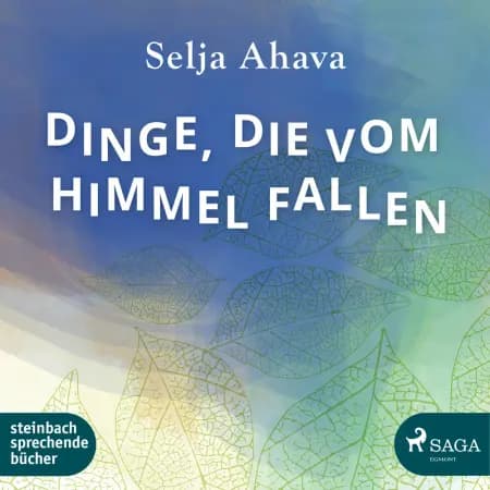 Dinge, die vom Himmel fallen af Selja Ahava