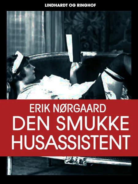 Den smukke husassistent af Erik Nørgaard