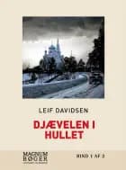 Djævelen i hullet af Leif Davidsen