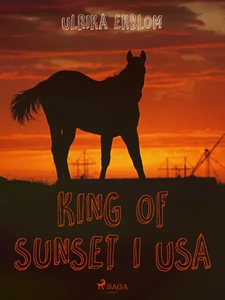 King of Sunset i USA af Ulrika Ekblom