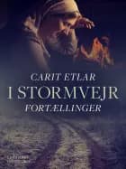 I stormvejr: Fortællinger af Carit Etlar