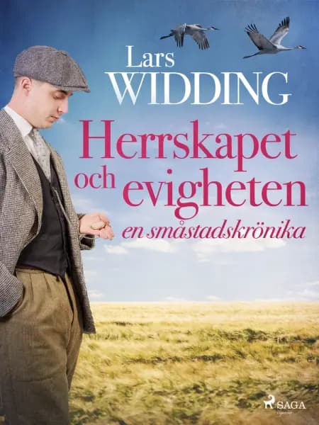 Herrskapet och evigheten: en småstadskrönika af Lars Widding