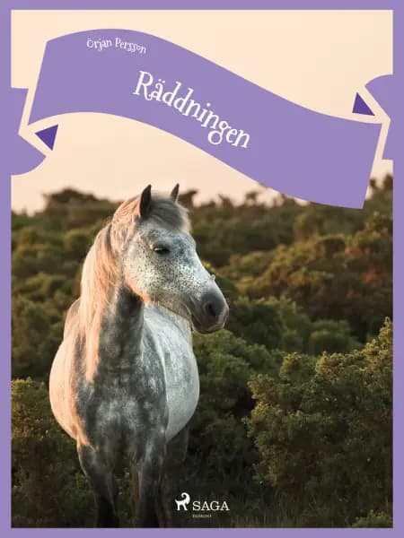 Räddningen af Örjan Persson