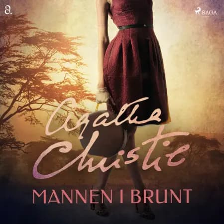 Mannen i brunt af Agatha Christie