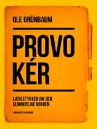 Provokér: Lærestykker om den almindelige uorden af Ole Grünbaum