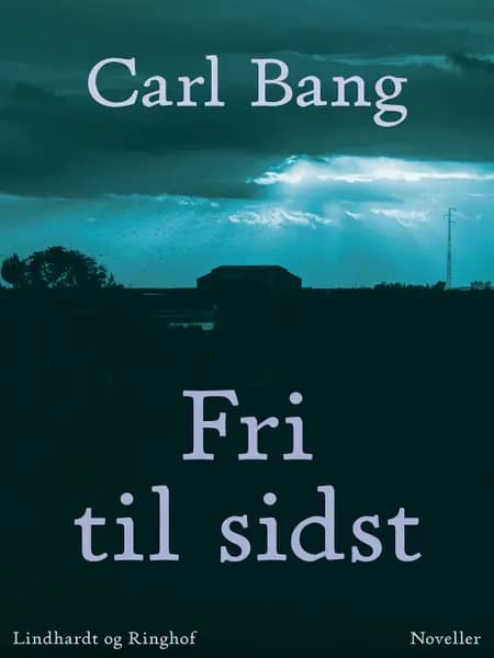 Fri til sidst af Carl Bang