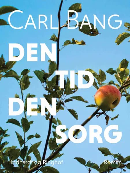 Den tid den sorg af Carl Bang