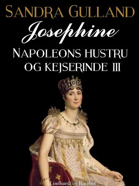 Josephine: Napoleons hustru og kejserinde III af Sandra Gulland