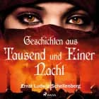 Geschichten aus Tausend und Einer Nacht af Ernst Ludwig Schellenberg