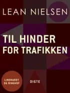 Til hinder for trafikken af Lean Nielsen