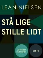 Stå lige stille lidt af Lean Nielsen