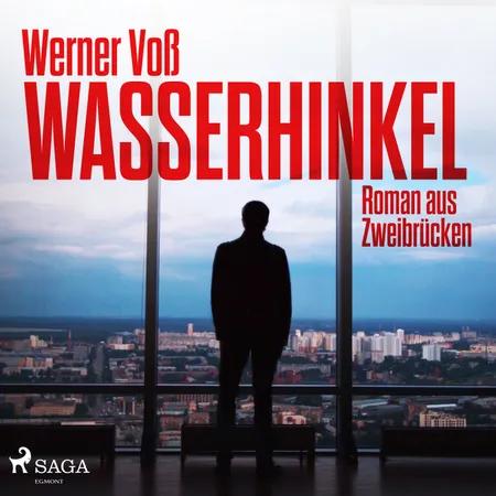 Wasserhinkel - Roman aus Zweibrücken af Werner Voß