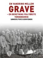 En vandring mellem grave af Sønderjyske Øjenvidner