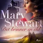 Det brinner en eld af Mary Stewart