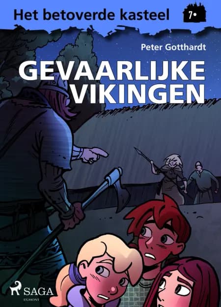 Het betoverde kasteel 7 - Gevaarlijke vikingen af Peter Gotthardt