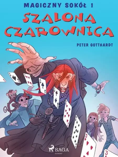 Magiczny sokół 1 - Szalona Czarownica af Peter Gotthardt