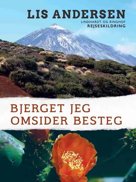 Bjerget jeg omsider besteg af Lis Andersen
