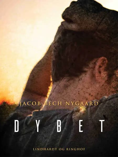 Dybet af Jacob Bech Nygaard