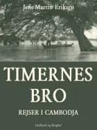 Timernes Bro af Jens-Martin Eriksen